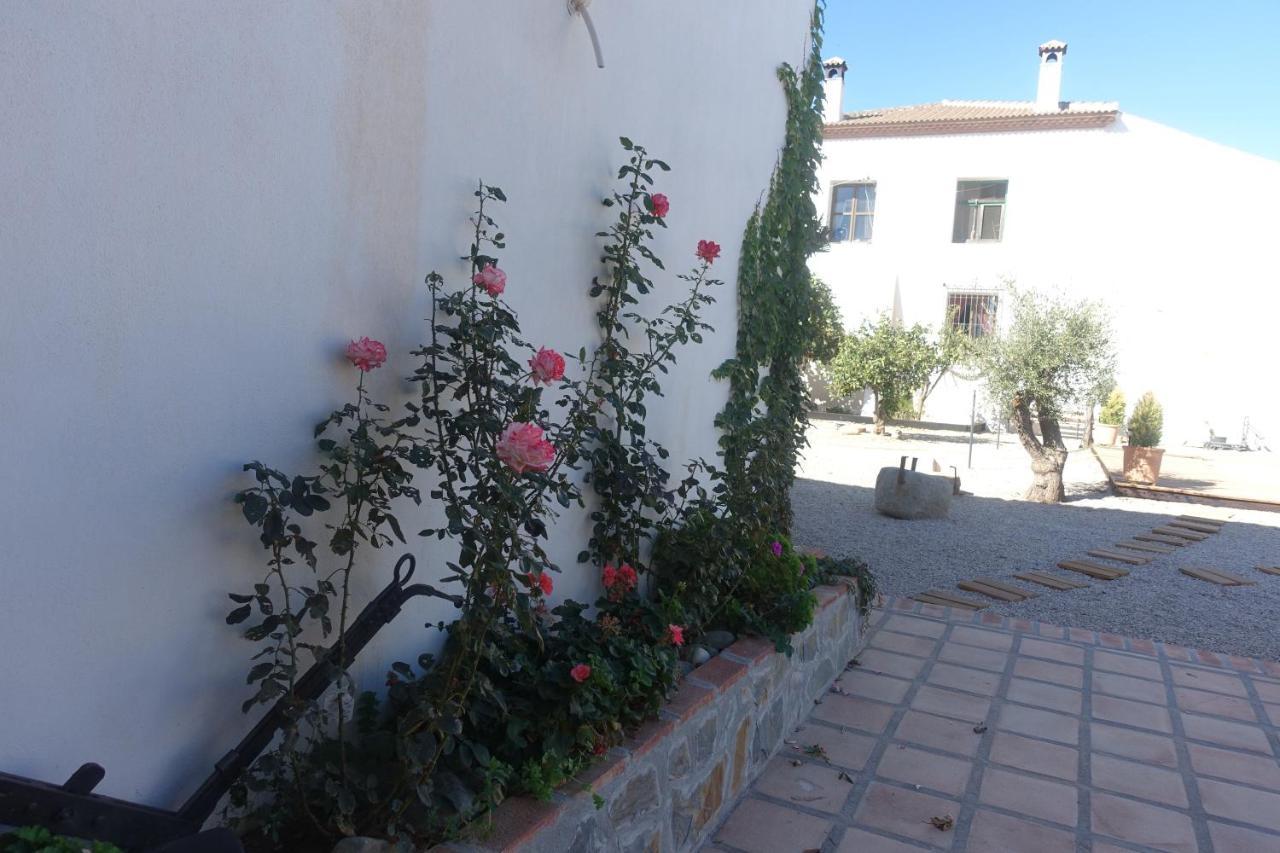 Galwey, Tourist Appartments With Wifi Malaga Luaran gambar